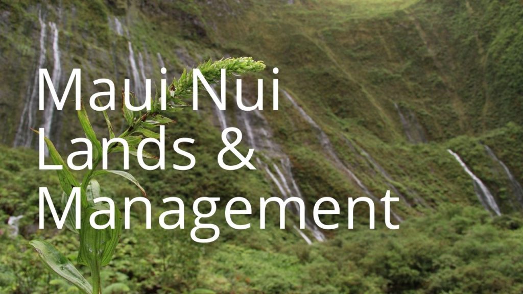 An image of a plan and waterfalls linking to Maui Nui Lands and Management