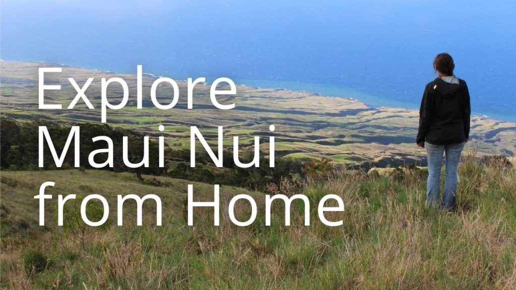 An image of a person looking at a coastline linking to Explore Maui Nui from Home