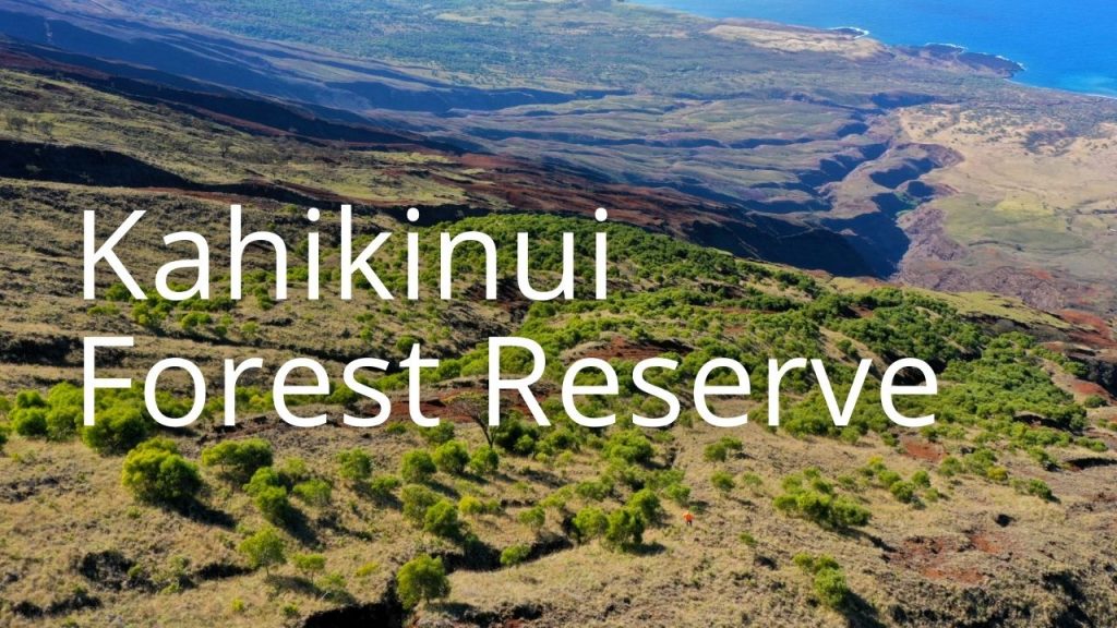 An image of Kahikinui linking to more info on this Forest Reserve