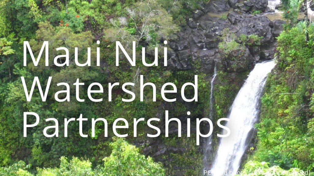 An image of a waterfall with the words Maui Nui Watershed Partnership