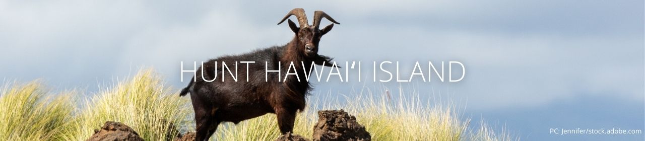 An image of a goat with the words Hunt Hawaiʻi Island