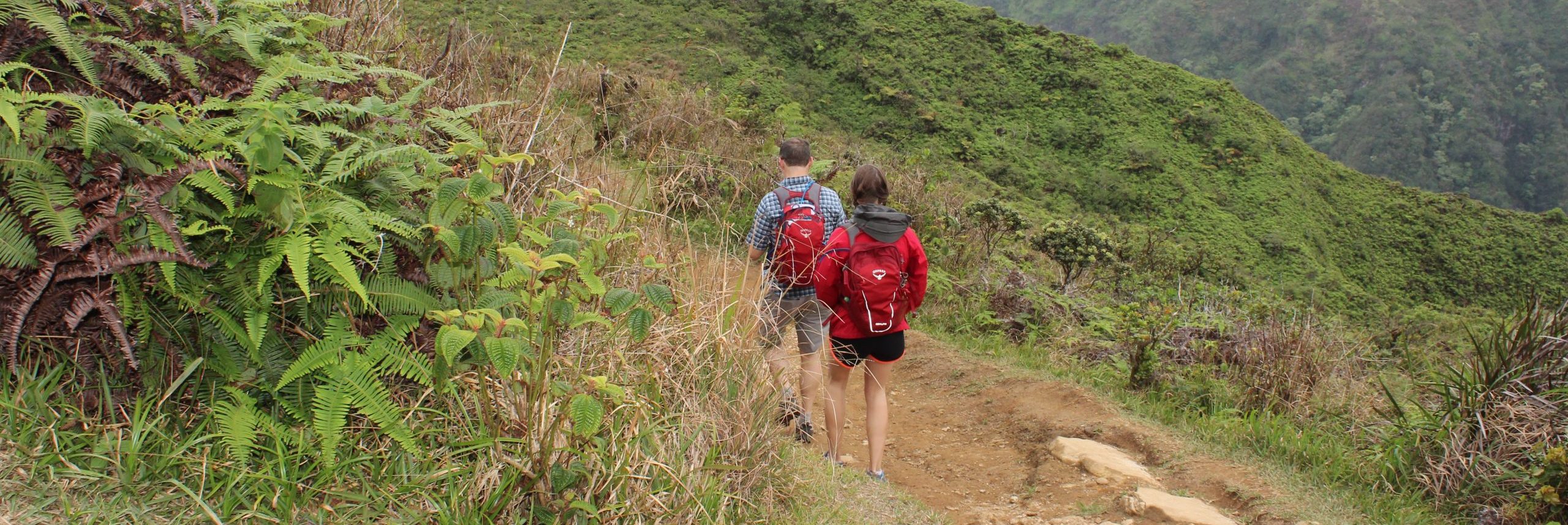 Division of Forestry and Wildlife: Outdoor Recreation | Nā Ala Hele ...