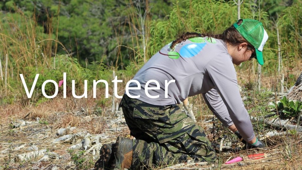 An image of a person planting a plant with the word Volunteer linking to the Volunteer page
