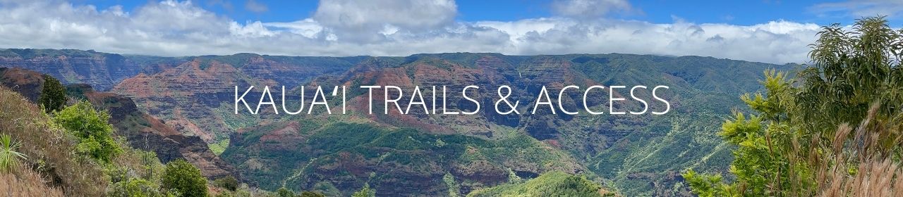 An image of Waimea Canyon