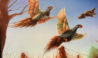 Pheasants- Greg Fritz