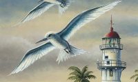 Ryan Kniss: Manu-o-Kū entry for the 2025 Stamp Contest