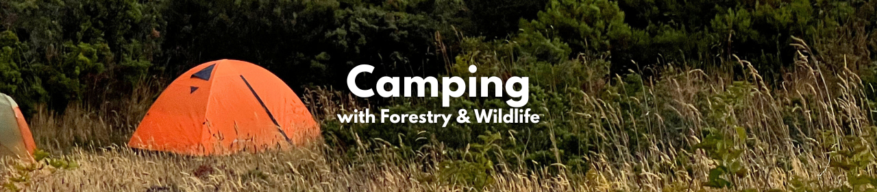 Camping with Forestry & Wildlife