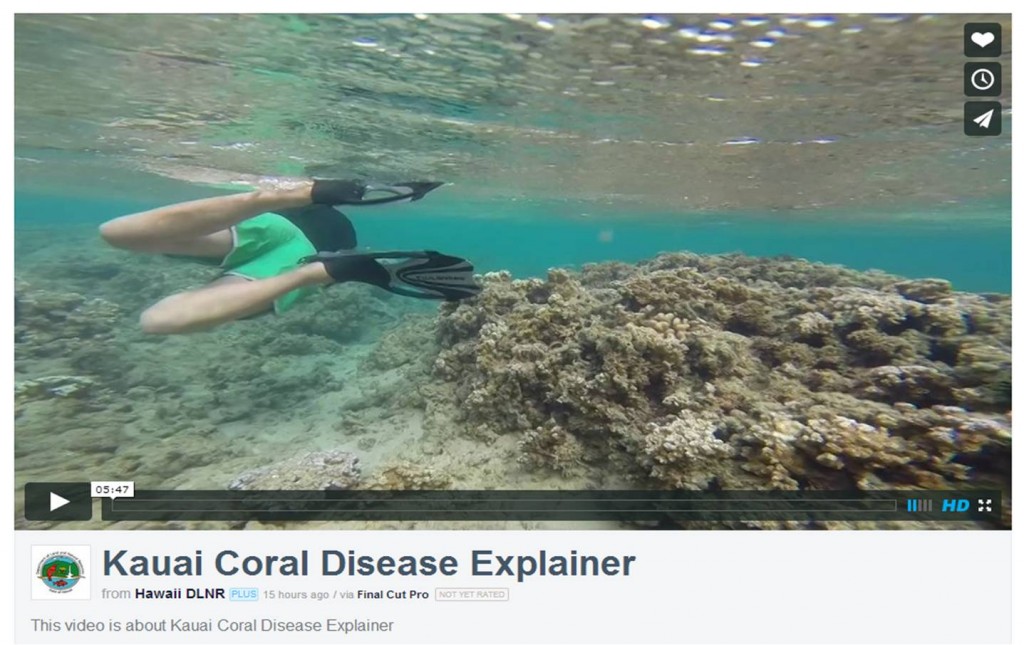 screenshot of DLNR kauai coral disease video