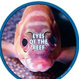 logo for Eyes of the Reef Network