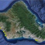 Map of where reports of dead gurnards have been coming from showing several points on the west side of Oahu and Waikiki