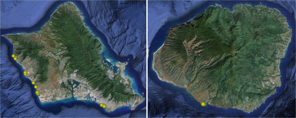 A map of Oahu and Kauai with pins indicating public reports of dead flying gurnards.
