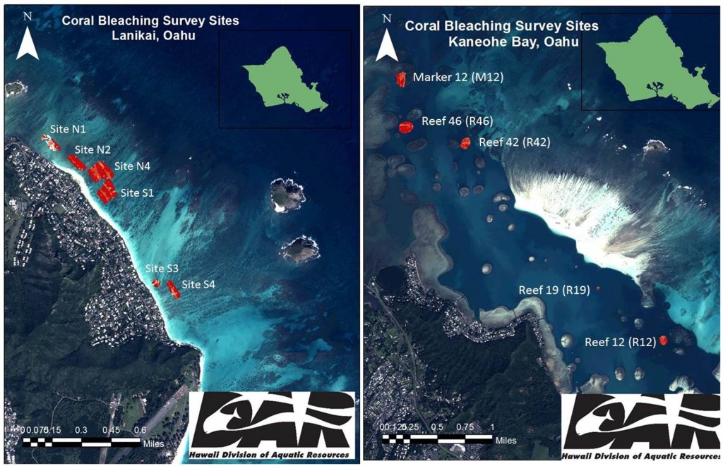 map of coral bleaching survey sites in Kaneohe Bay and Lanikai