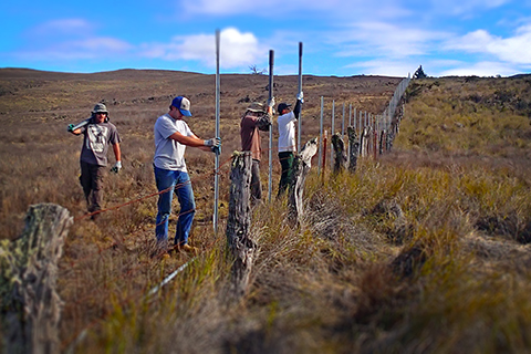 image of a group of people building a fence