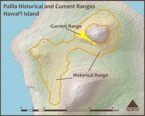 Palila range