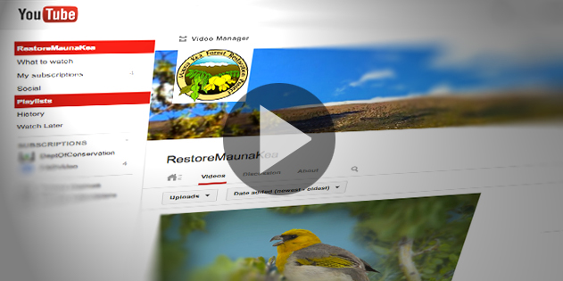 screenshot of the DLNR YouTube page