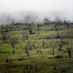 Degraded un-fenced area