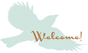 welcome bird