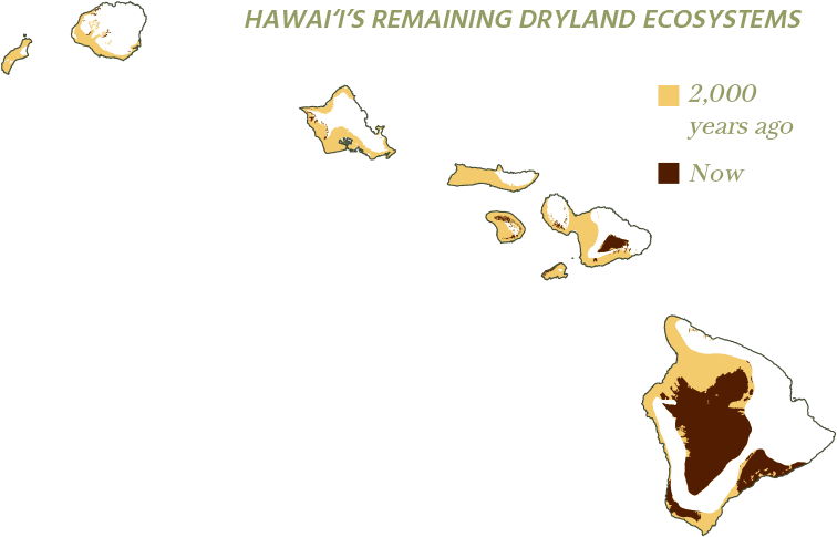 remaining forests