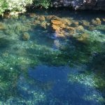 Kalauhaihai Fishpond