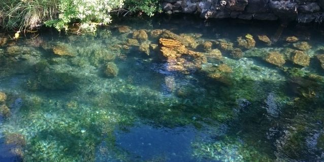 Kalauhaihai Fishpond