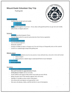Volunteer Checklist Example