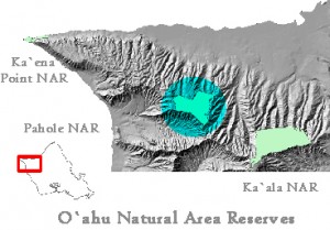 NARS Map