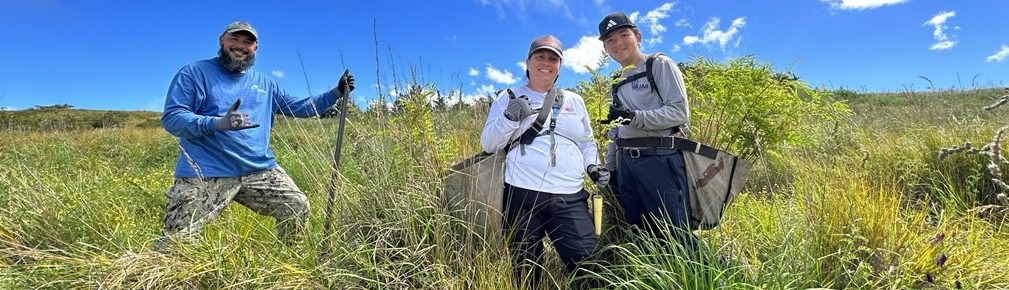 Volunteers planting trees on Mauna Kea