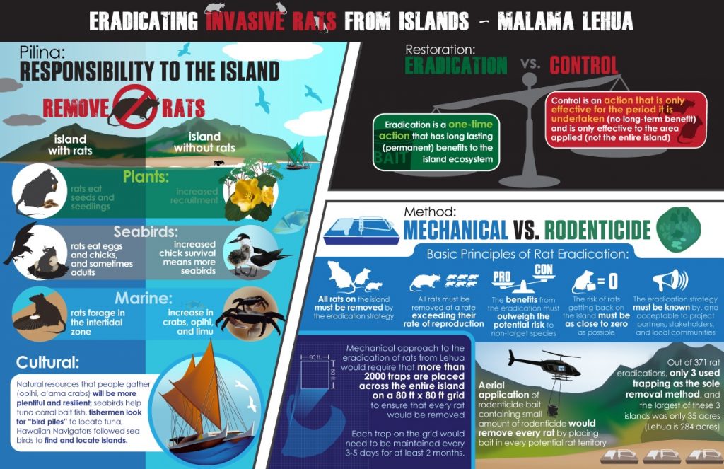 This infographic looks at the techniques used to control rats on islands and the benefits of island-wide eradication of rats versus perpetual control actions.
