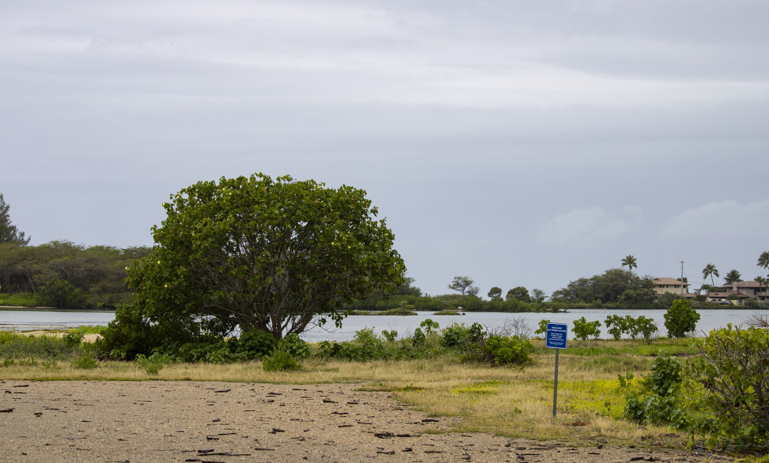 Image of Paiko Lagoon Wildlife Sanctuary