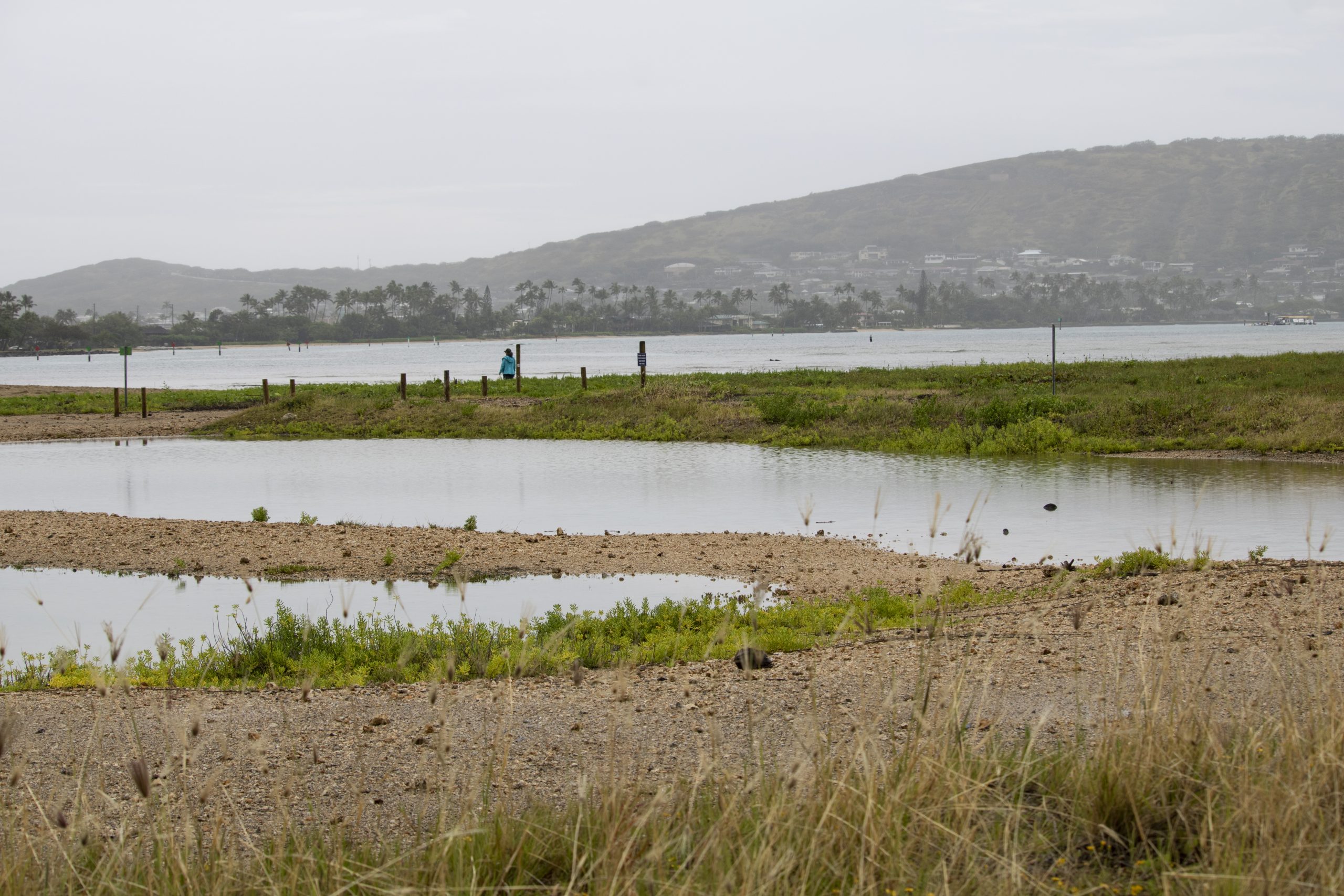 Image of Paiko Lagoon Wildlife Sanctuary