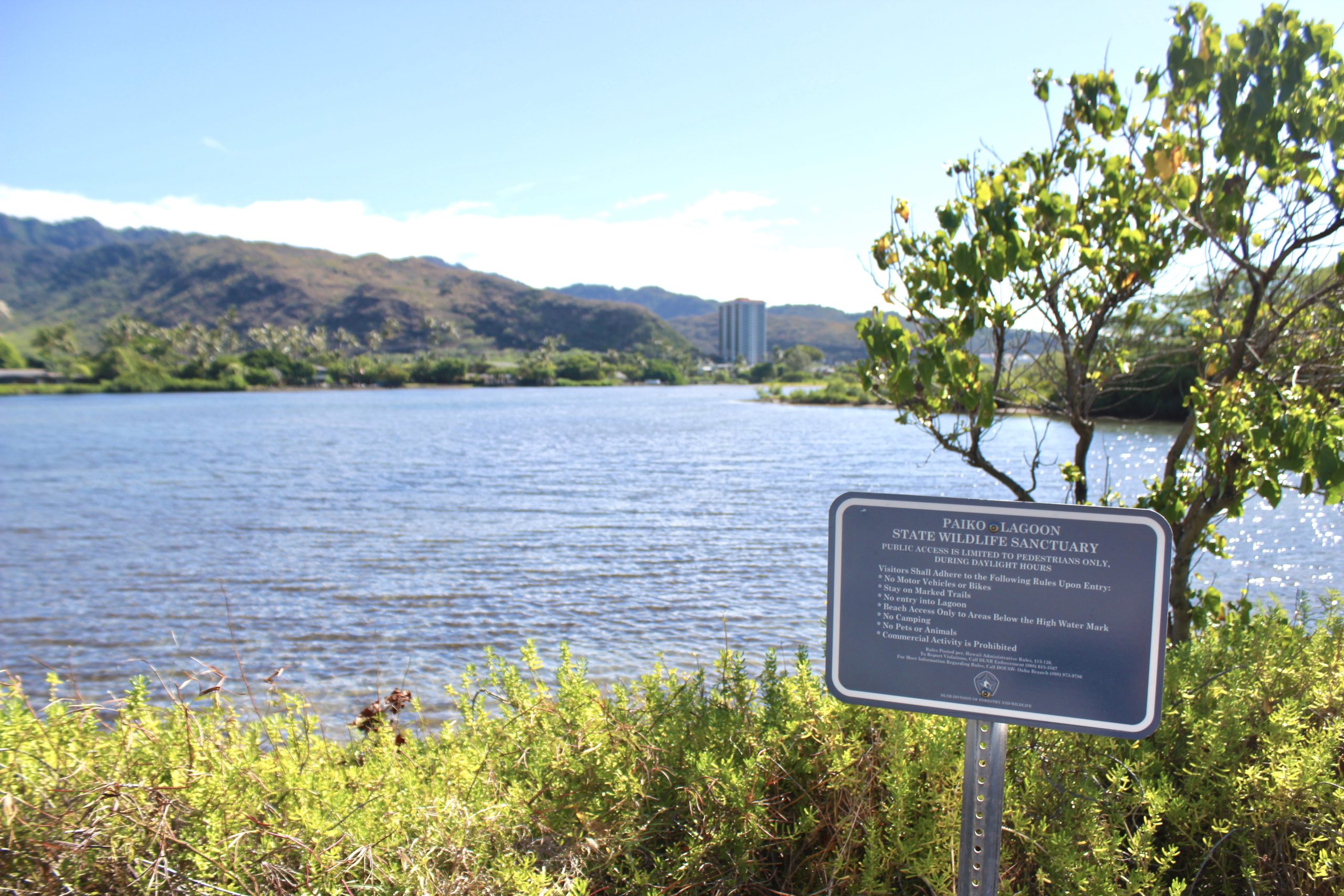 Image of Paiko Lagoon