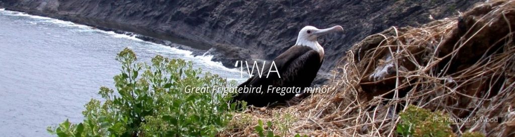 webpage header of ʻIwa