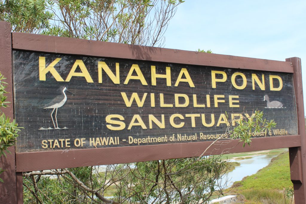 image of kanaha pond entry sign