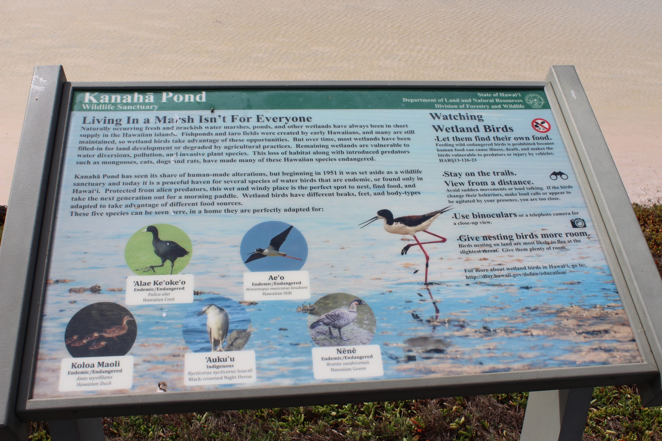 image of interpretive signage at kanaha pond