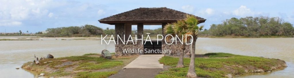 webpage header of kanaha pond