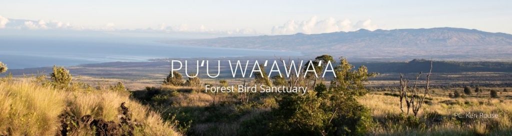 webpage header for puu waawaa forest bird sanctuary