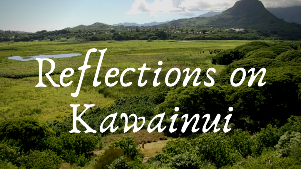 reflection on kawainui visual button