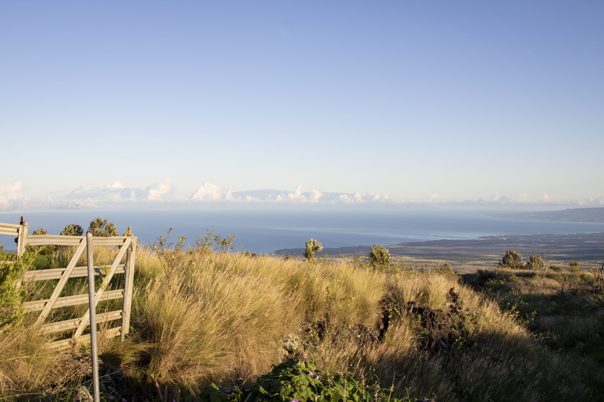 Division of Forestry and Wildlife: Wildlife Program | Puʻu Waʻawaʻa