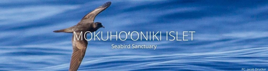 webpage header of Mokuhoʻoniki islet