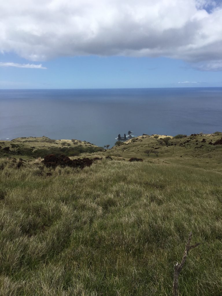 image of nanahoa islets from afar