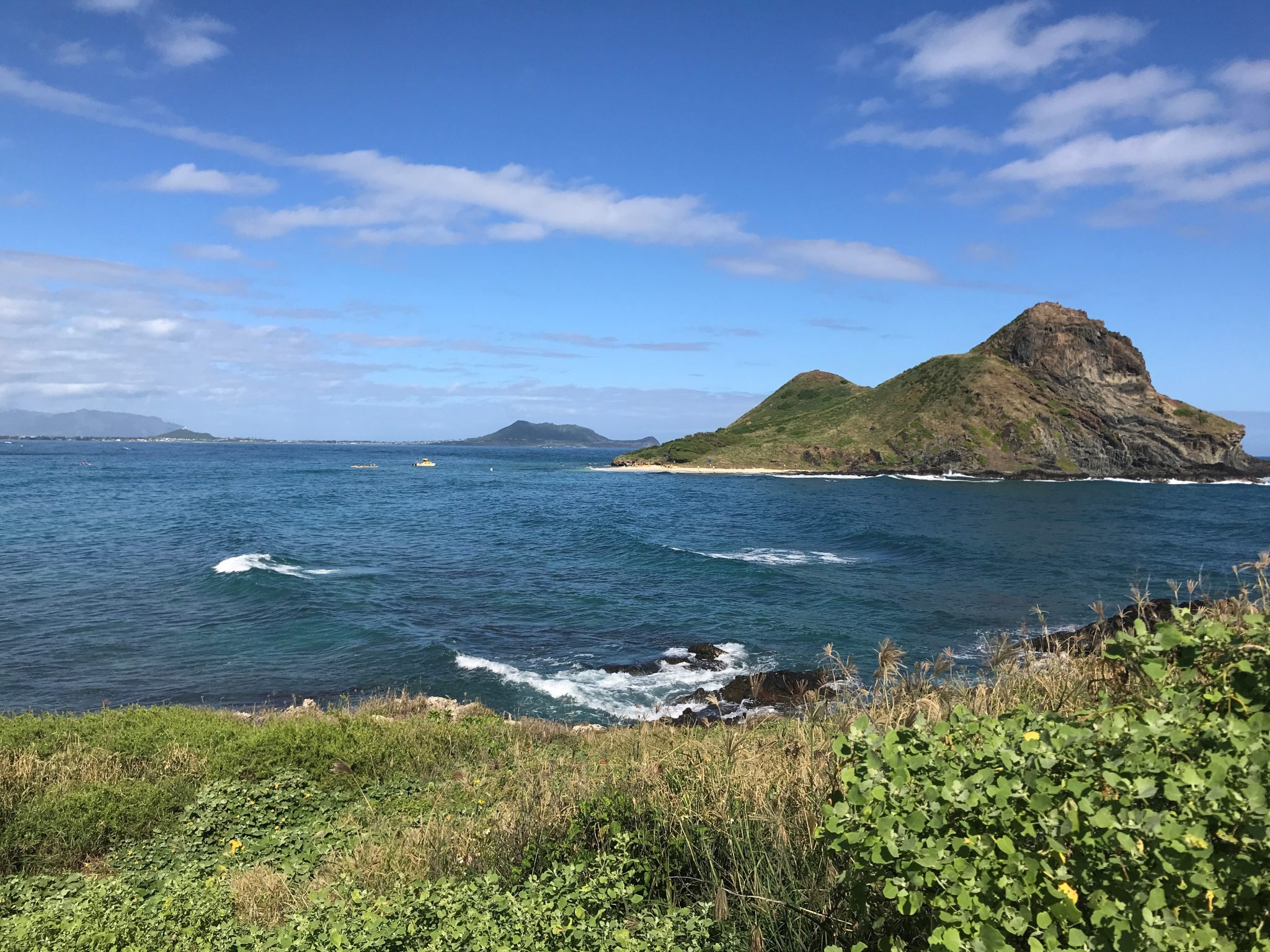 Division of Forestry and Wildlife Wildlife Program Oʻahu Offshore