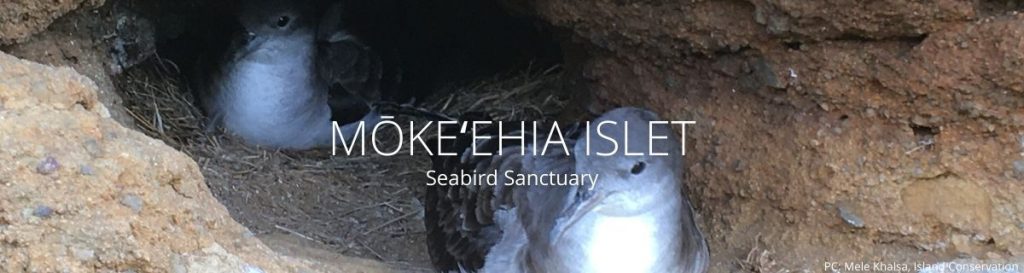 webpage header of mokeehia islet