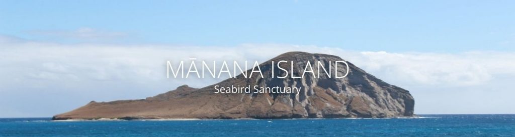 webpage header of manana island