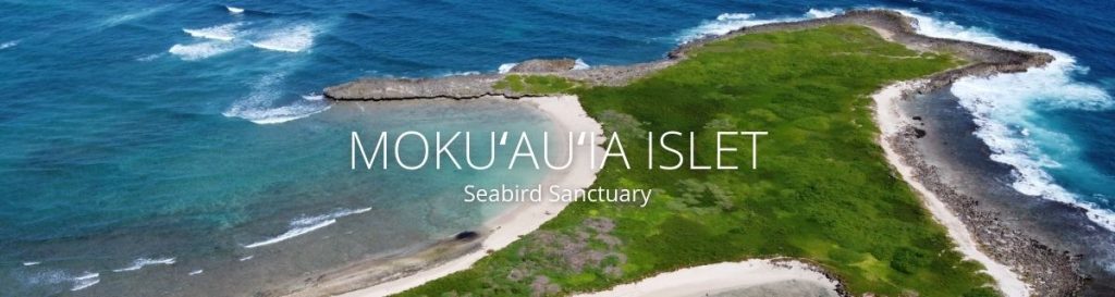 webpage header of mokuauia islet