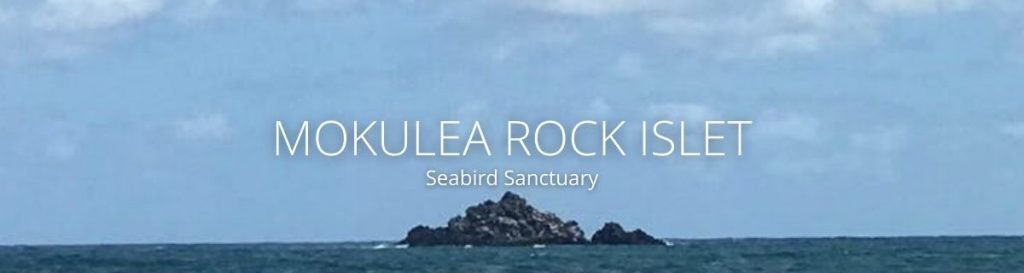 webpage header of mokulea rock islet