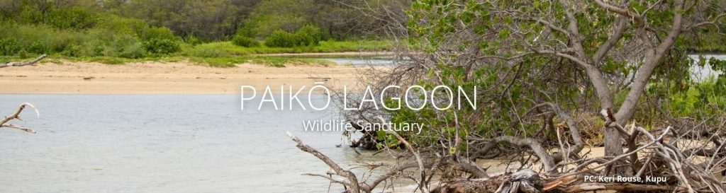 webpage header of paiko lagoon