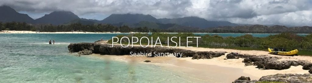 webpage header of popoia islet 