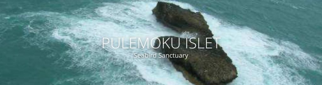 webpage header of pulemoku islet