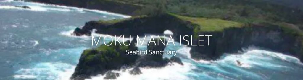 webpage header of moku mana islet