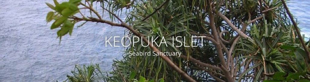 webpage header of keopuka islet